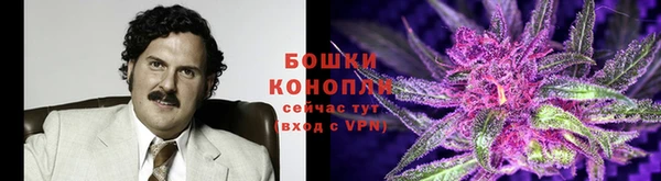 mdpv Михайловск
