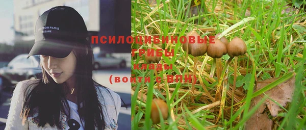 шишки Михайлов
