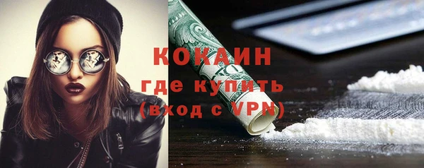 шишки Михайлов