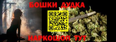 индика Беслан