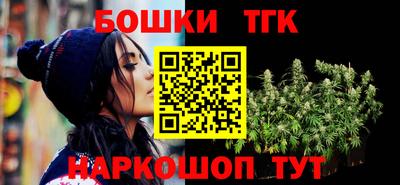 индика Беслан