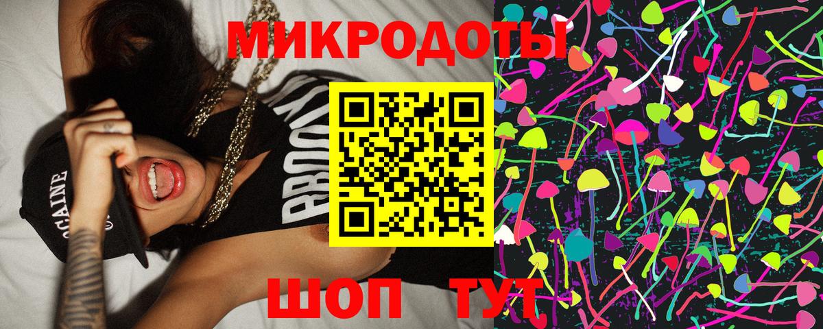 Галлюциногенные грибы Psilocybe Темрюк