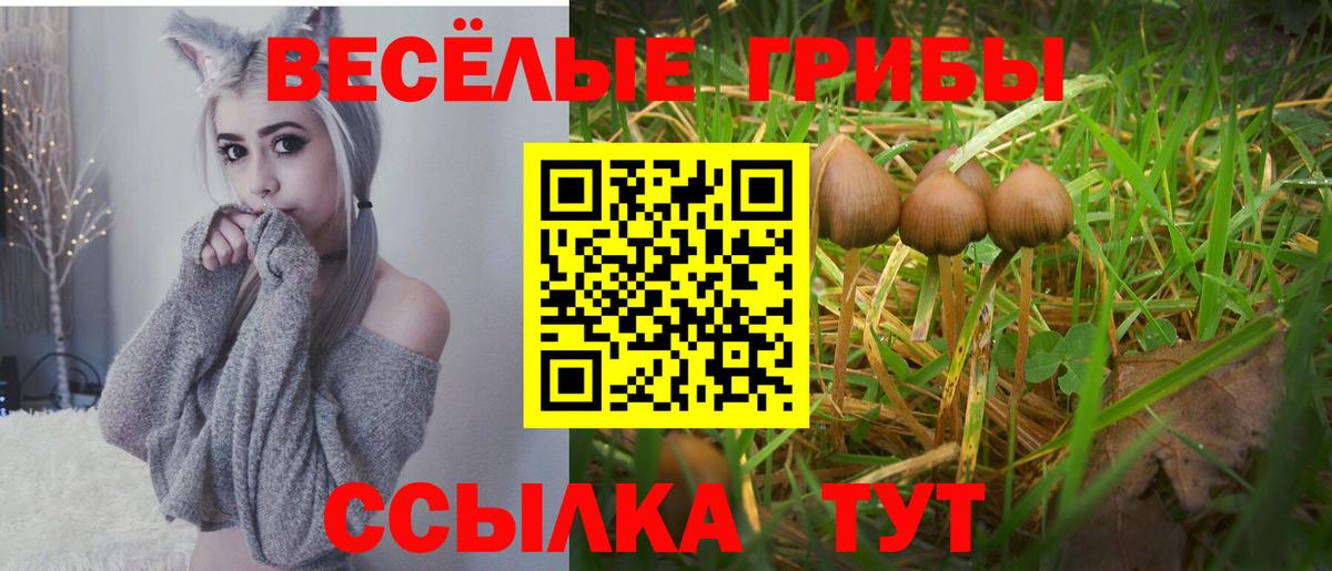 наркотики  Темрюк  Псилоцибиновые грибы Magic Shrooms 