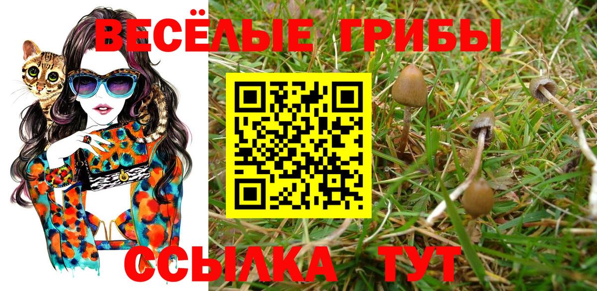 Галлюциногенные грибы Cubensis Темрюк
