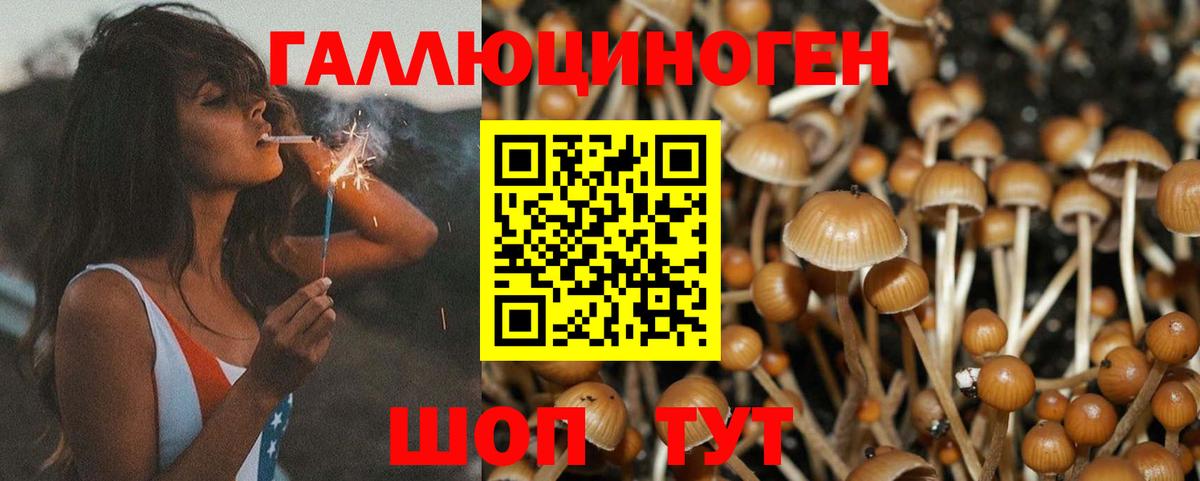 Темрюк  Галлюциногенные грибы MAGIC MUSHROOMS  Вход с VPN 
