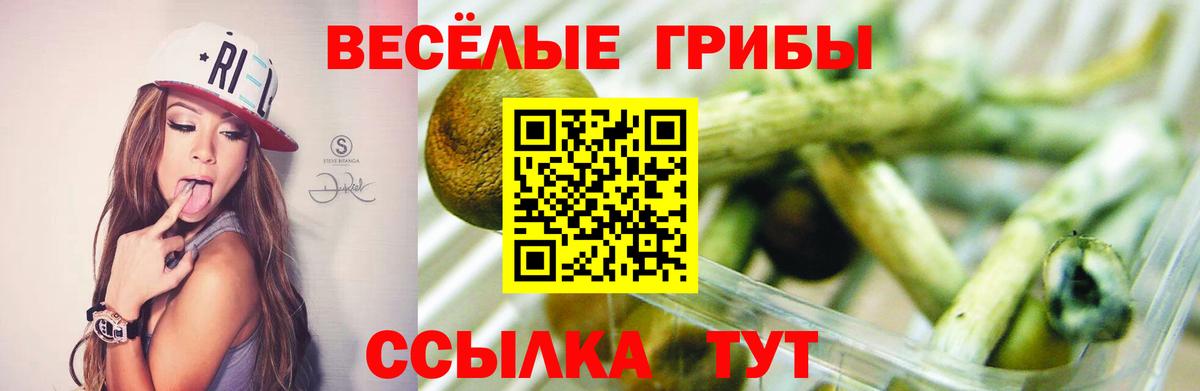 Псилоцибиновые грибы Psilocybe  Галлюциногенные грибы Psilocybine cubensis  Темрюк  Вход с VPN 